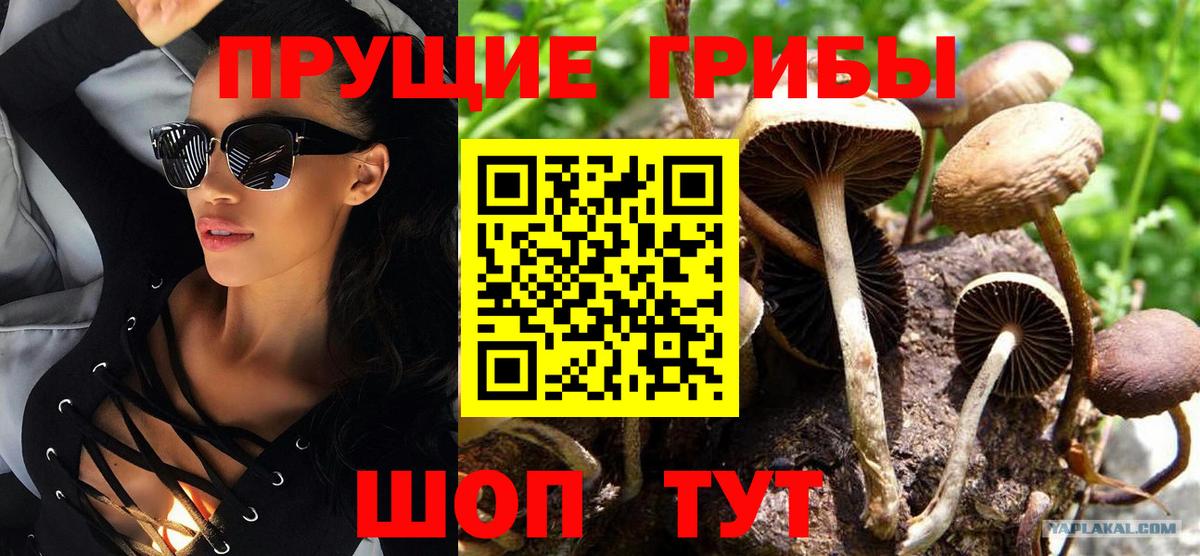 Коммунар  Галлюциногенные грибы MAGIC MUSHROOMS  Вход с VPN 